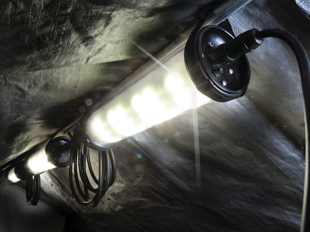 9500 Shelter Lighting System in Black