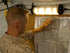 9500 Shelter Lighting System in Black