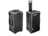 Pelican Air 1646 Case