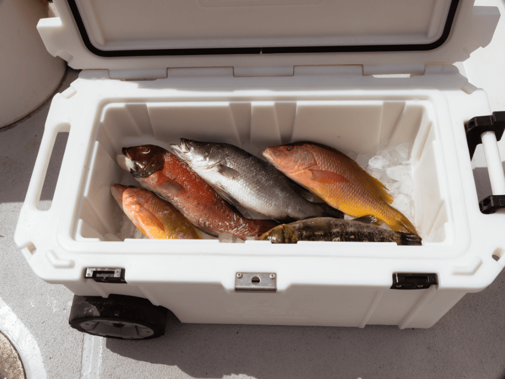 Pelican 65QW Elite Wheeled Cooler