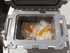 Pelican 50QT Elite Cooler